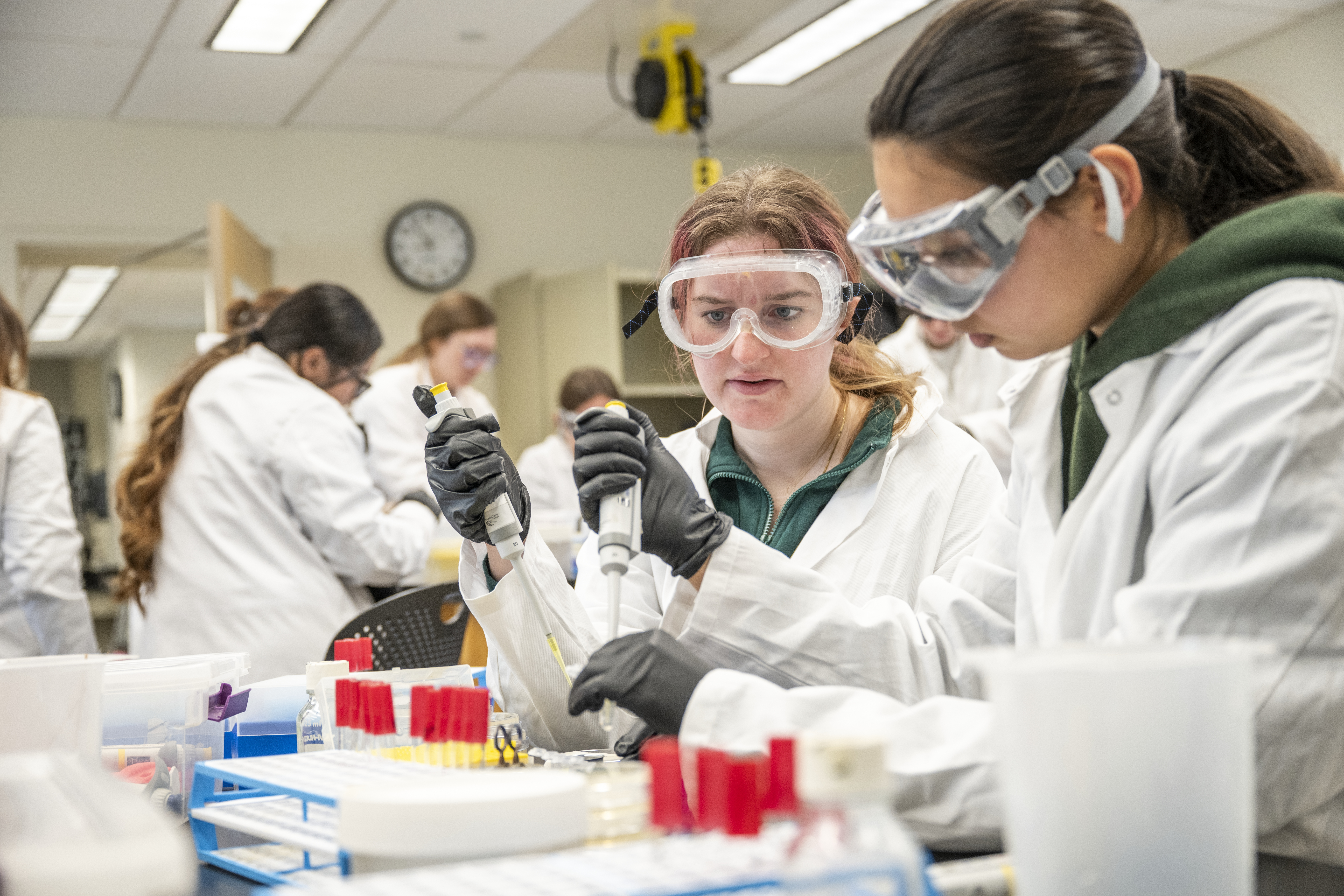 2025 Student Academic Success Research Grants awarded